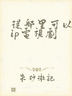 从哪里可以看vip电视剧