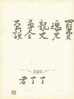 至尊龙魂罗成小说全文免费阅读无弹窗