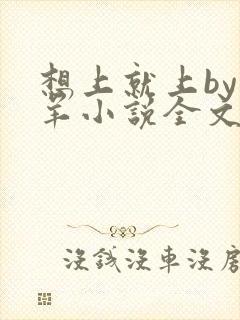 想上就上by迷羊小说全文免费阅读