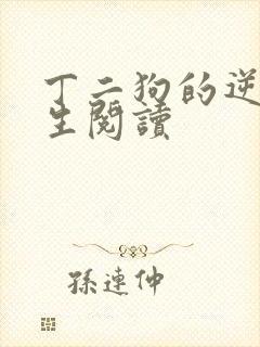 丁二狗的逆袭人生阅读