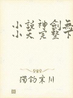 小说神剑无敌杨小天完整下载