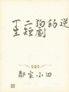 丁二狗的逆袭人生短剧