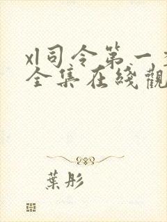 xl司令第一季全集在线观看完整版