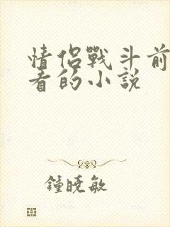 情侣战斗前适合看的小说