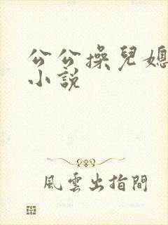 公公操儿媳妇的小说封面