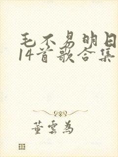 毛不易明日之子14首歌合集
