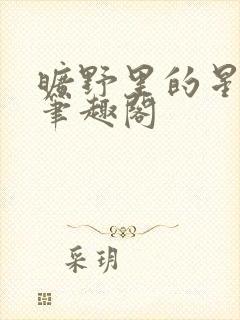 旷野里的星小说笔趣阁