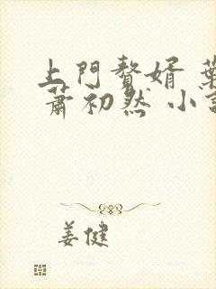 上门赘婿 叶辰 萧初然 小说