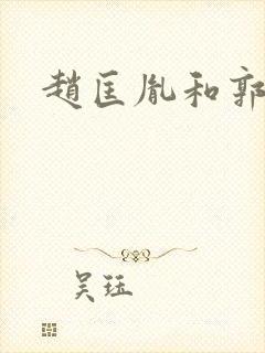 赵匡胤和郭荣封面