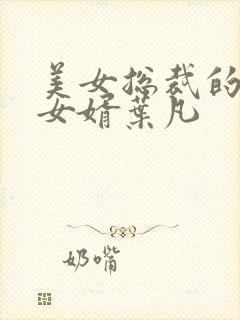 美女总裁的上门女婿叶凡封面