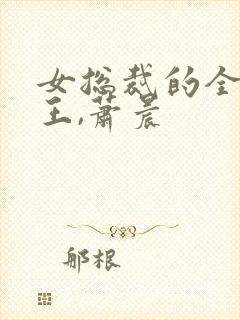 女总裁的全能兵王,萧晨封面