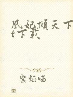 凰妃倾天下txt下载封面