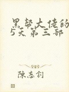 黑帮大佬的365天第三部