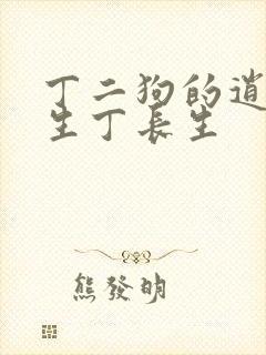 丁二狗的逍遥人生丁长生