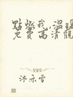 点燃我,温暖你免费高清观看