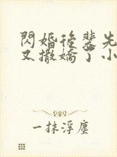 闪婚后裴先生又又撒娇了小说封面