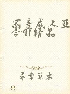 国产成人亚洲综合91精品封面