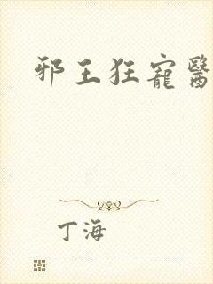 邪王狂宠医毒妃封面