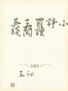 兵王罗铮小说在线阅读