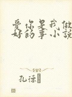 爱你是我做过最好的事小说