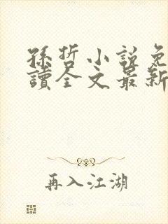 孙哲小说免费阅读全文最新章节封面