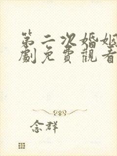 第二次婚姻电视剧免费观看