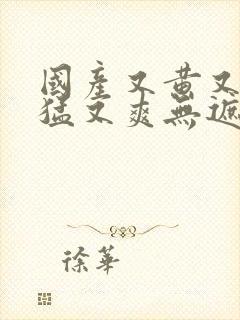 国产又黄又粗又猛又爽无遮挡