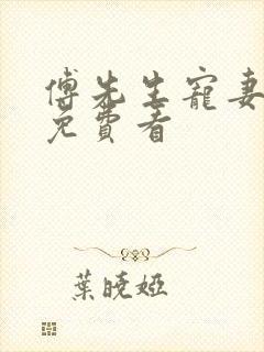 傅先生宠妻无度免费看