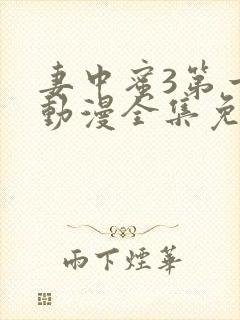 妻中蜜3第一季动漫全集免费观看