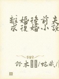 离婚后前夫哭着求复婚小说全文免费