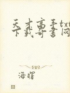 天才高手txt下载奇书网