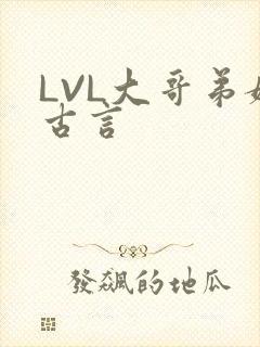 LVL大哥弟媳古言