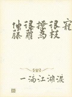 他很撩很宠作者藤萝为枝