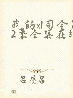 我的xl司令第2季全集在线观看封面