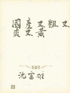 国产又粗又色又爽又黄