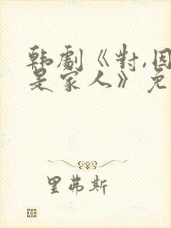 韩剧《对,因为是家人》免费观看国语封面