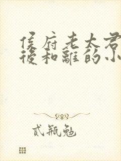 侯府老太君重生后和离的小说