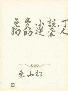 免费小说,丁二狗的逆袭人生