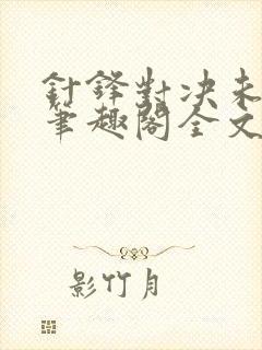 针锋对决未删减笔趣阁全文阅读