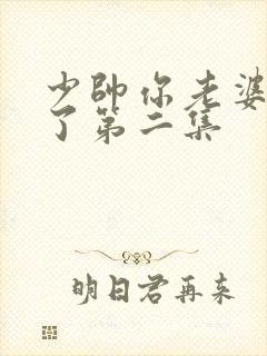 少帅你老婆又跑了第二集