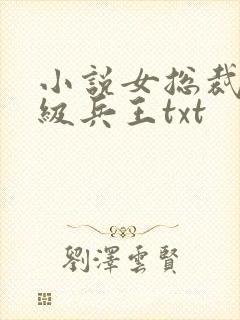 小说女总裁的超级兵王txt