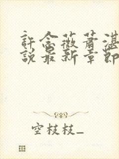 许念薇萧湛明小说最新章节更新