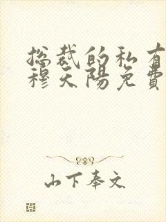 总裁的私有宝贝穆天阳免费封面