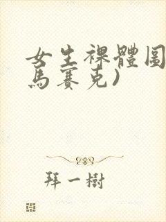 女生裸体图(无马赛克)