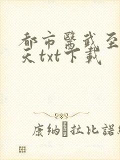 都市医武至尊宁天txt下载