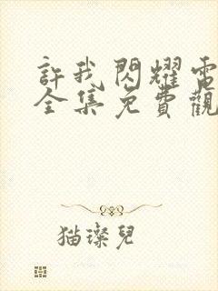 许我闪耀电视剧全集免费观看高清