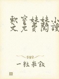 软宝妹妹小说全文免费阅读无弹窗