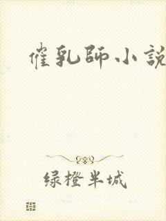 催乳师小说