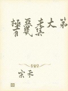 极恶老大第一季有几集