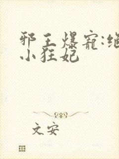 邪王爆宠:绝世小狂妃